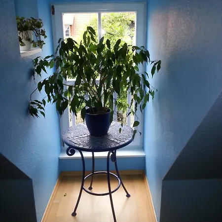Appartement Fachwerkhotel Garni - Ferienhaeuser Vorhof Zur Hoelle 4*