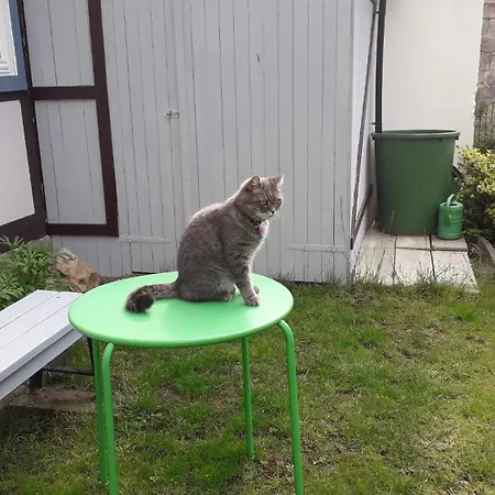 Fachwerkhotel - Ferienhaeuser Vorhof Zur Hoelle Quedlinburg