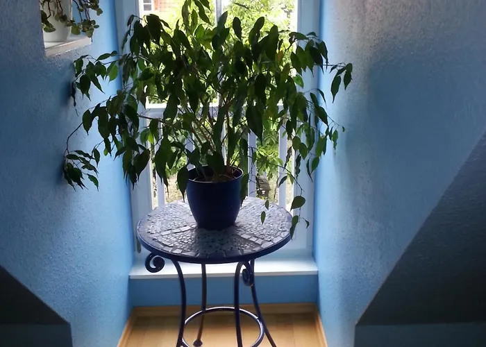 Daire Fachwerkhotel Garni - Ferienhaeuser Vorhof Zur Hoelle 4*