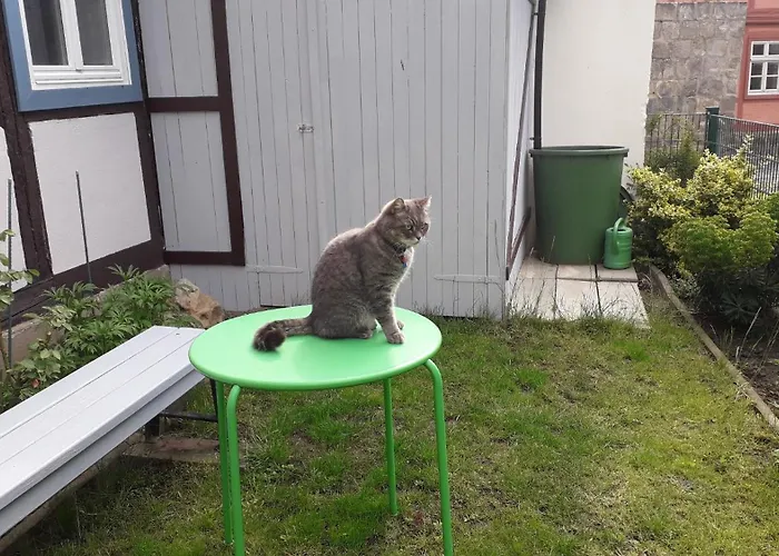 Fachwerkhotel Garni - Ferienhaeuser Vorhof Zur Hoelle Quedlinburg